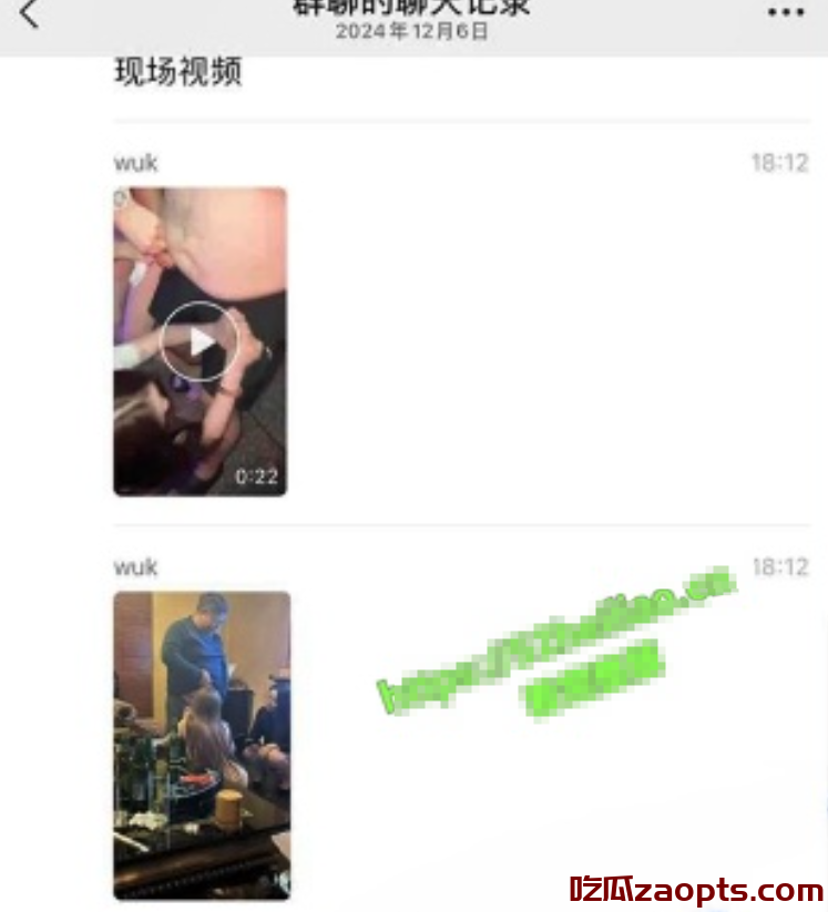 上海绿地集团董事长张玉良性丑闻曝光，带女秘书KTV裸嗨！